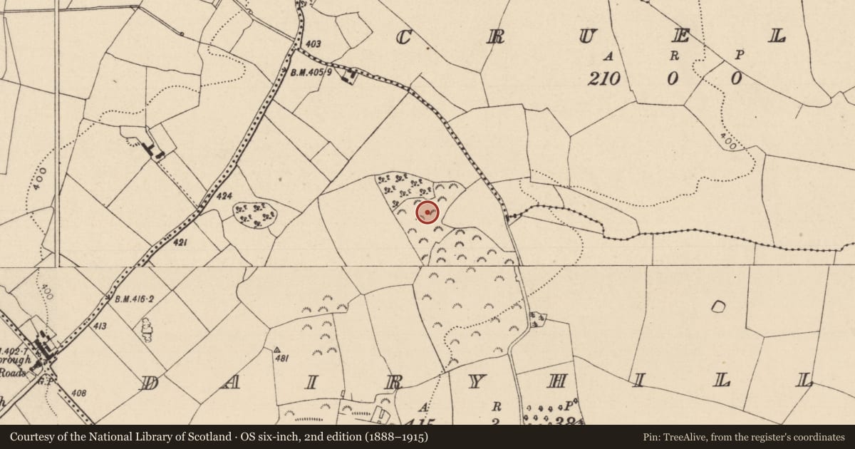 Ordnance Survey six-inch map, 2nd edition (1888–1915) covering the location of Enclosure, Dairyhill, County Laois, with a pin at the register's coordinates