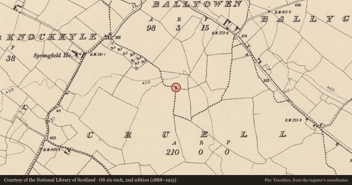 Ordnance Survey six-inch map, 2nd edition (1888–1915) covering the location of Moated site, Ballyowen, County Laois, with a pin at the register's coordinates