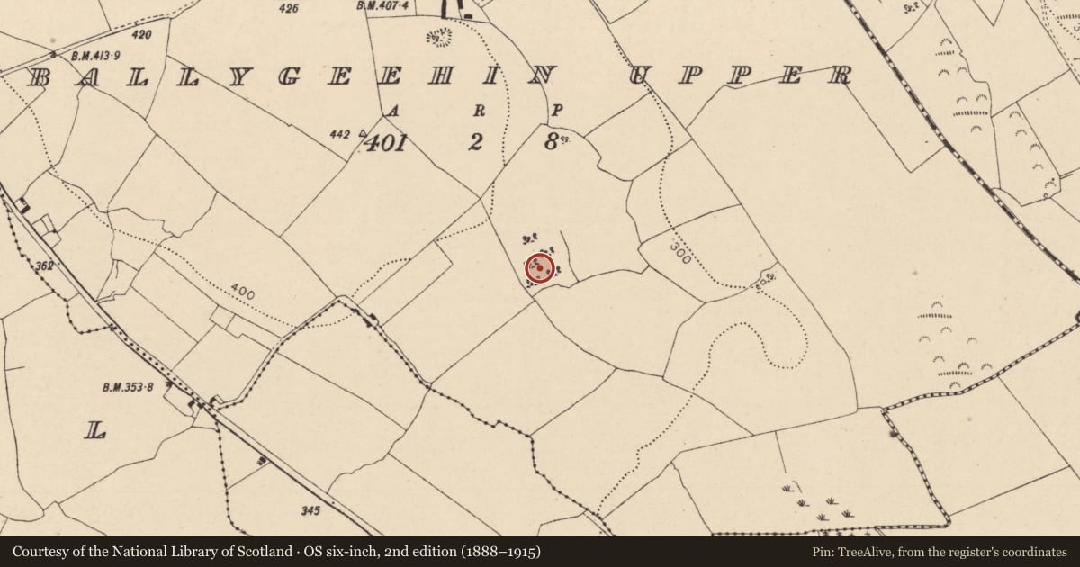 Ordnance Survey six-inch map, 2nd edition (1888–1915) covering the location of Enclosure, Ballygeehin Upper, County Laois, with a pin at the register's coordinates