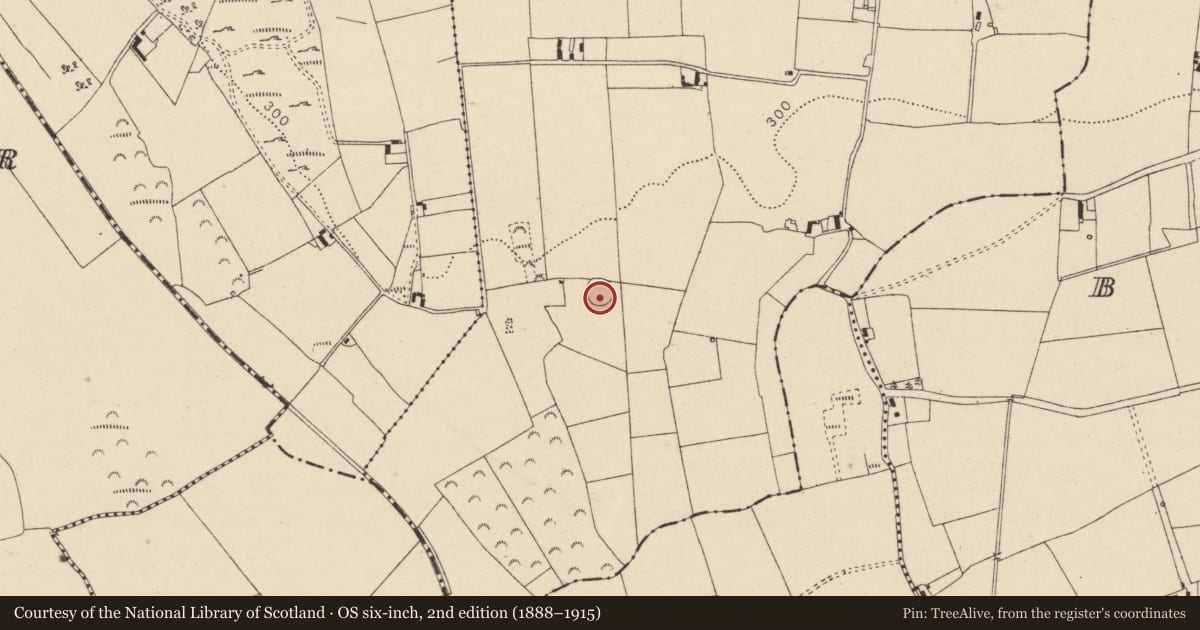 Ordnance Survey six-inch map, 2nd edition (1888–1915) covering the location of Enclosure, Boley Upper, County Laois, with a pin at the register's coordinates