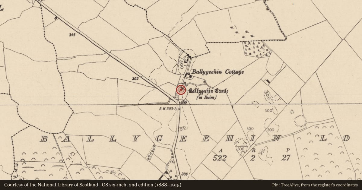 Ordnance Survey six-inch map, 2nd edition (1888–1915) covering the location of Bawn, Ballygeehin Lower, County Laois, with a pin at the register's coordinates