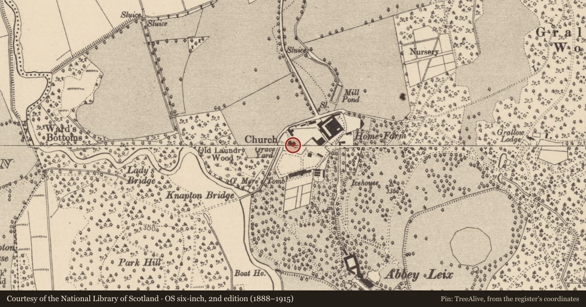 Ordnance Survey six-inch map, 2nd edition (1888–1915) covering the location of Church, Abbeyleix Demesne, County Laois, with a pin at the register's coordinates