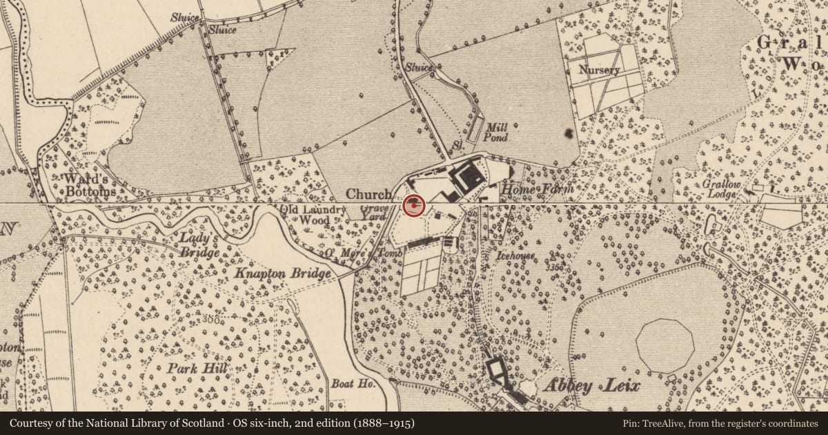 Ordnance Survey six-inch map, 2nd edition (1888–1915) covering the location of Graveyard, Abbeyleix Demesne, County Laois, with a pin at the register's coordinates
