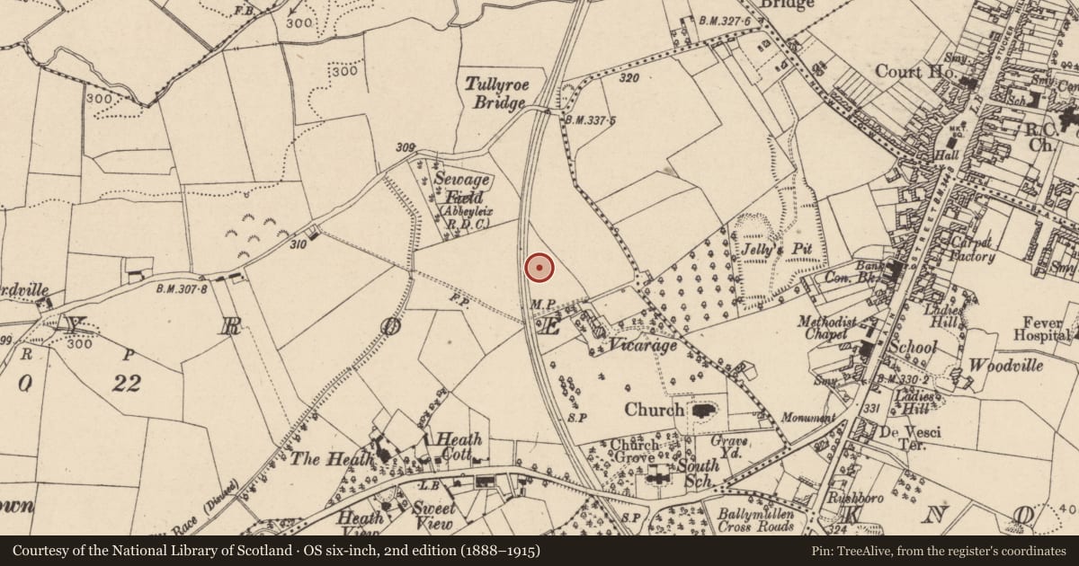 Ordnance Survey six-inch map, 2nd edition (1888–1915) covering the location of Enclosure, Tullyroe, County Laois, with a pin at the register's coordinates