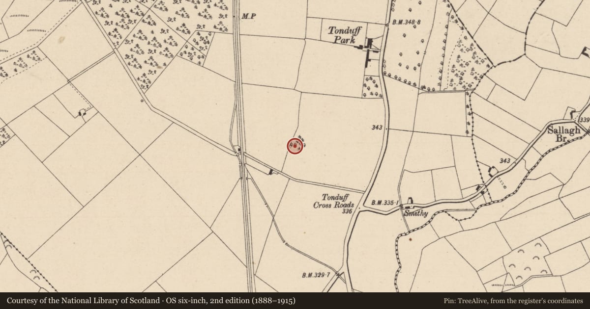 Ordnance Survey six-inch map, 2nd edition (1888–1915) covering the location of Burial mound, Tonduff, County Laois, with a pin at the register's coordinates
