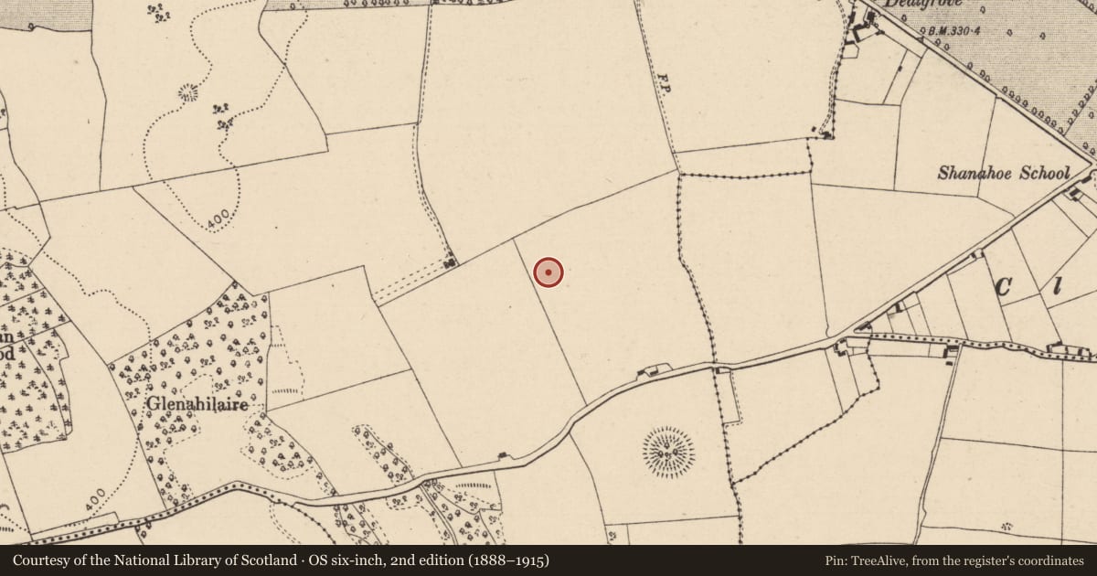 Ordnance Survey six-inch map, 2nd edition (1888–1915) covering the location of Ring-ditch, Killeany, County Laois, with a pin at the register's coordinates