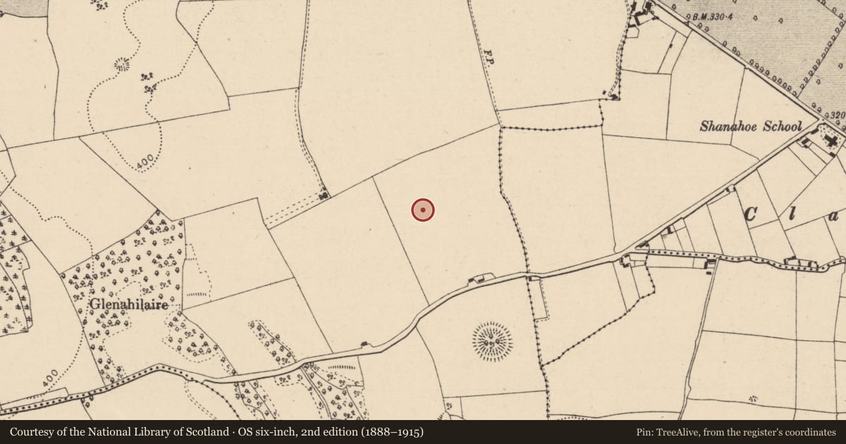 Ordnance Survey six-inch map, 2nd edition (1888–1915) covering the location of Ring-ditch, Killeany, County Laois, with a pin at the register's coordinates
