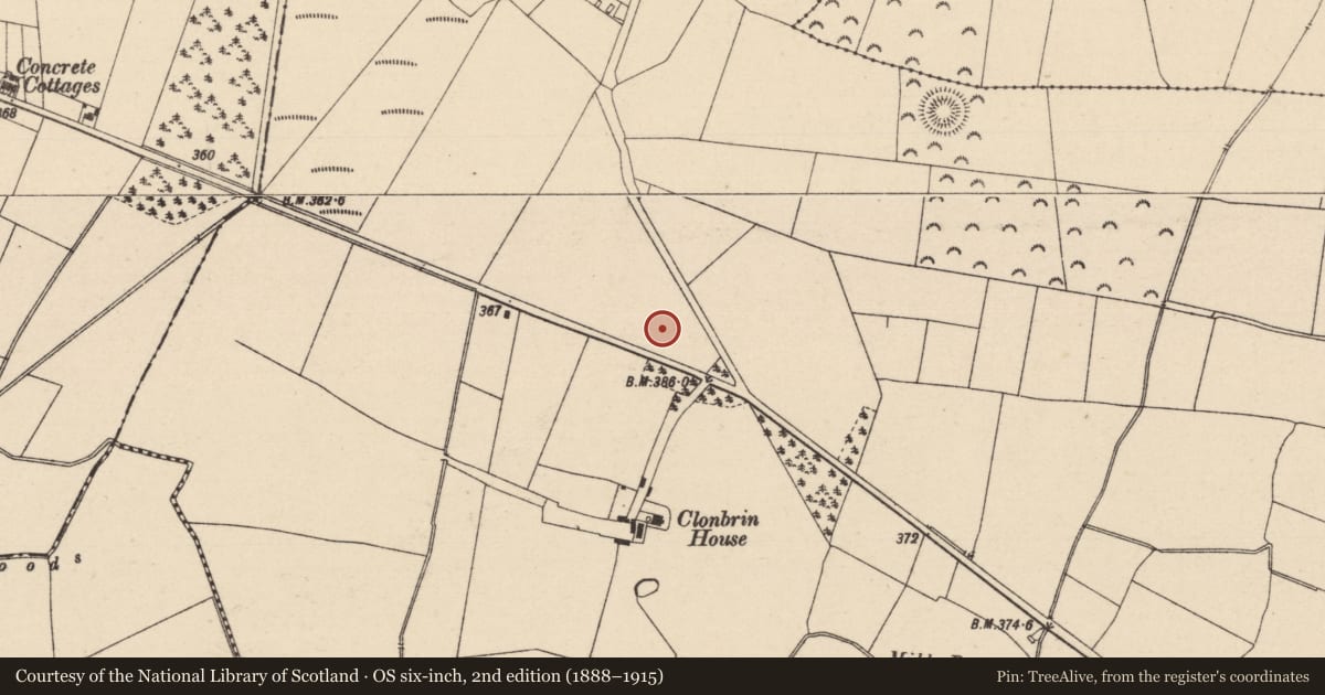 Ordnance Survey six-inch map, 2nd edition (1888–1915) covering the location of Linear earthwork, Ballyroan, County Laois, with a pin at the register's coordinates