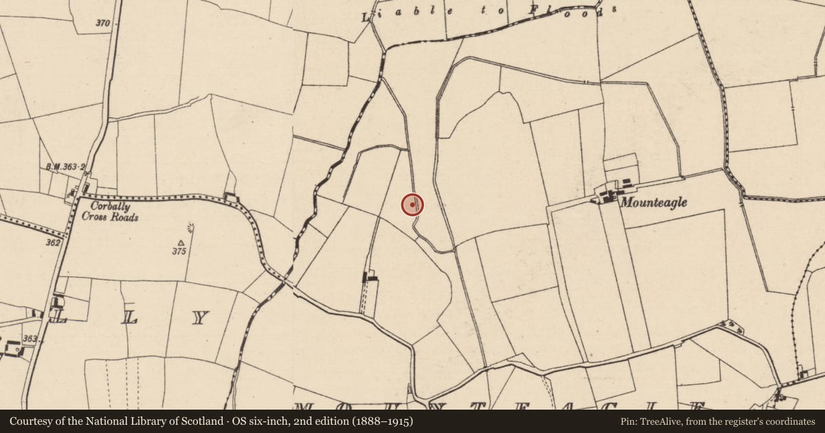 Ordnance Survey six-inch map, 2nd edition (1888–1915) covering the location of Ringfort - rath, Mounteagle, County Laois, with a pin at the register's coordinates