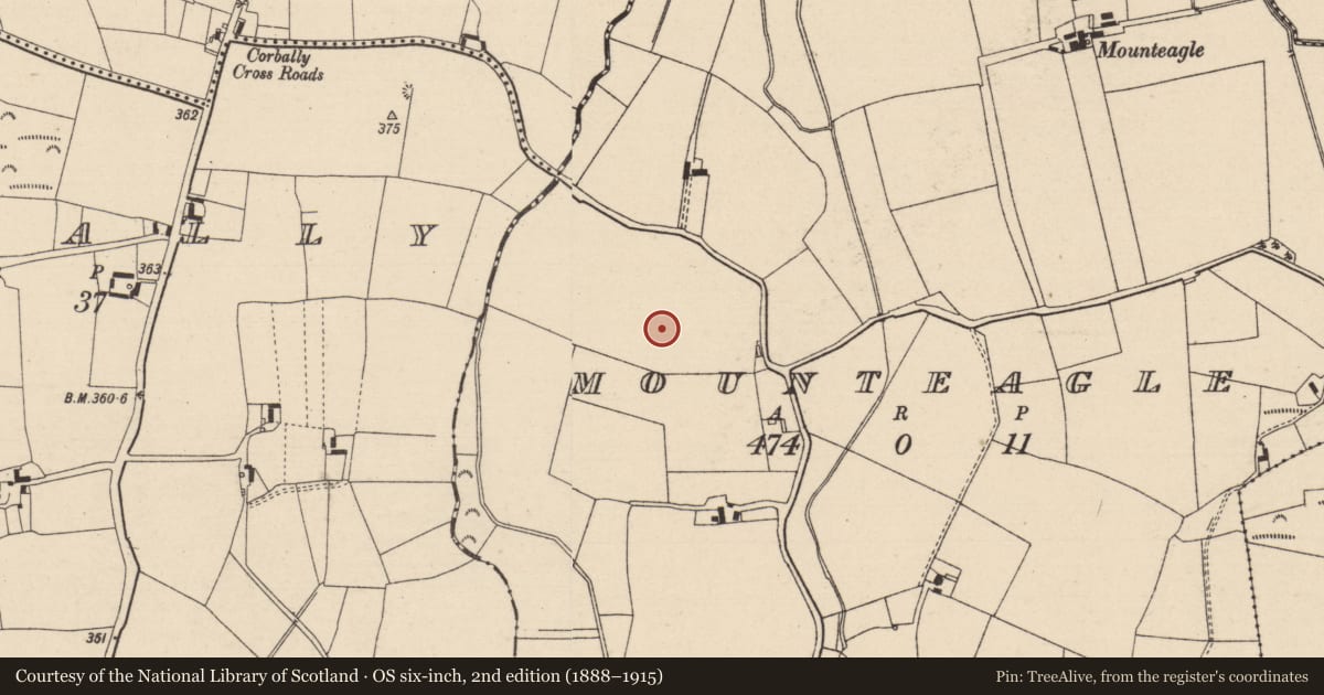 Ordnance Survey six-inch map, 2nd edition (1888–1915) covering the location of Ringfort - rath, Mounteagle, County Laois, with a pin at the register's coordinates