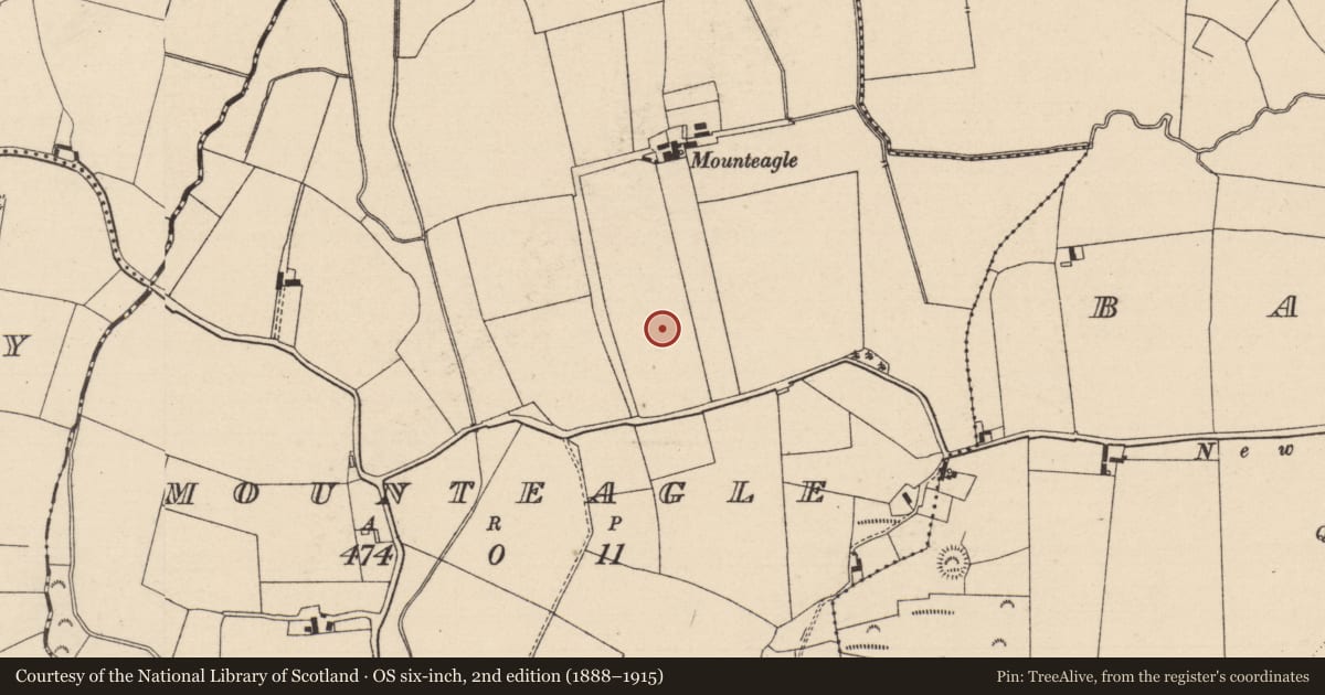 Ordnance Survey six-inch map, 2nd edition (1888–1915) covering the location of Enclosure, Mounteagle, County Laois, with a pin at the register's coordinates