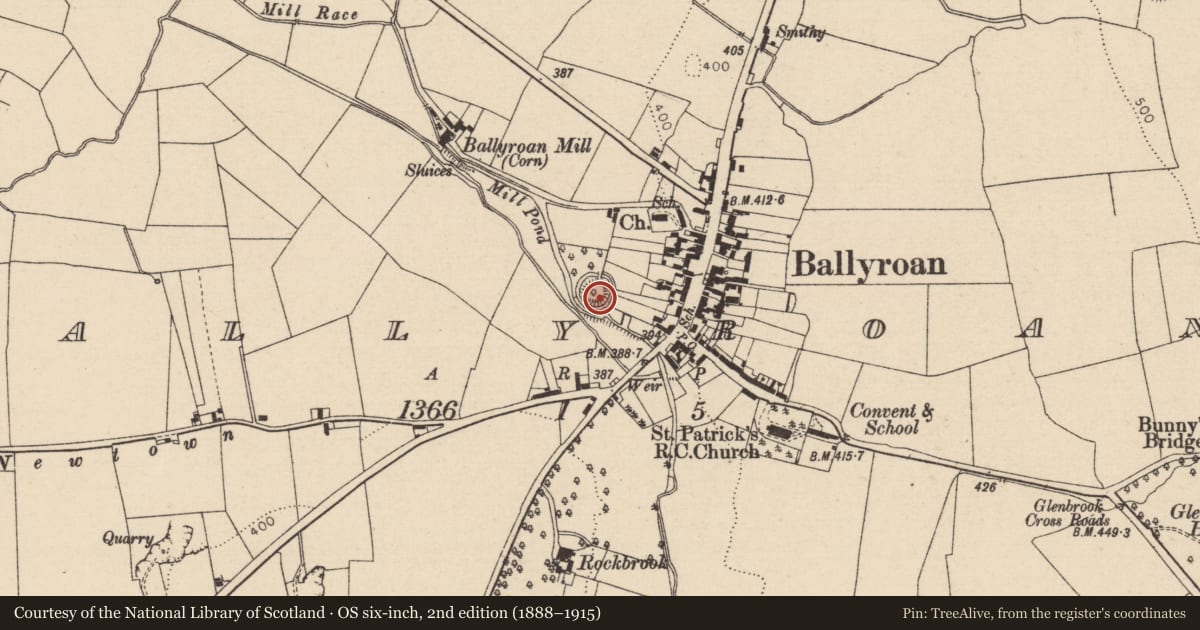 Ordnance Survey six-inch map, 2nd edition (1888–1915) covering the location of Castle - motte, Ballyroan, County Laois, with a pin at the register's coordinates