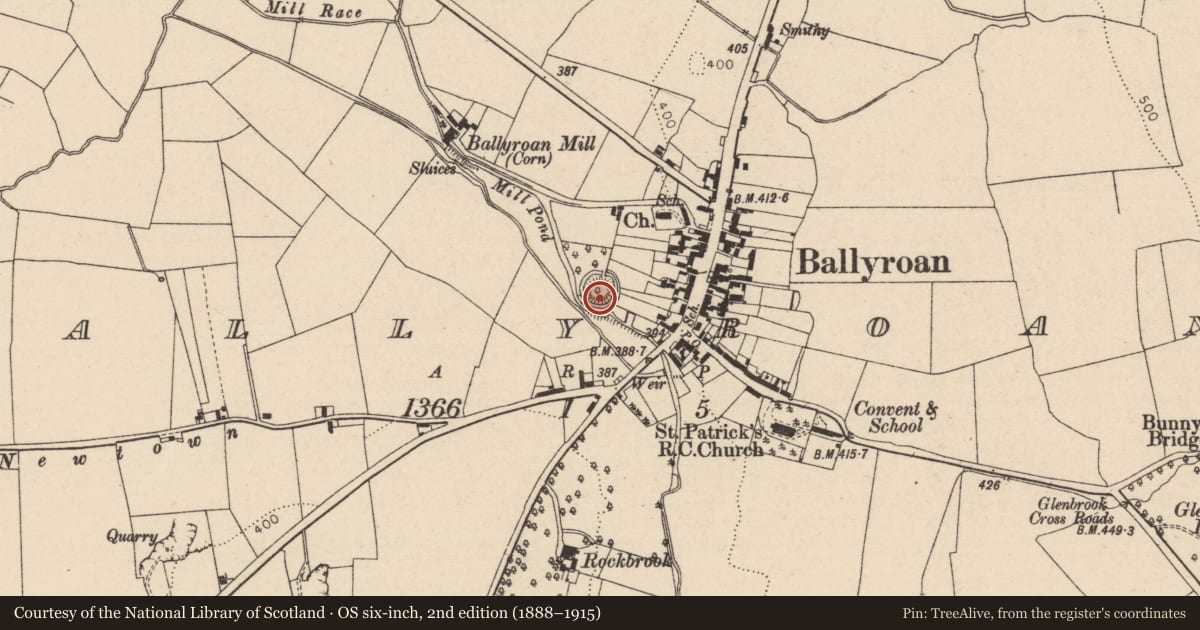 Ordnance Survey six-inch map, 2nd edition (1888–1915) covering the location of Castle - unclassified, Ballyroan, County Laois, with a pin at the register's coordinates