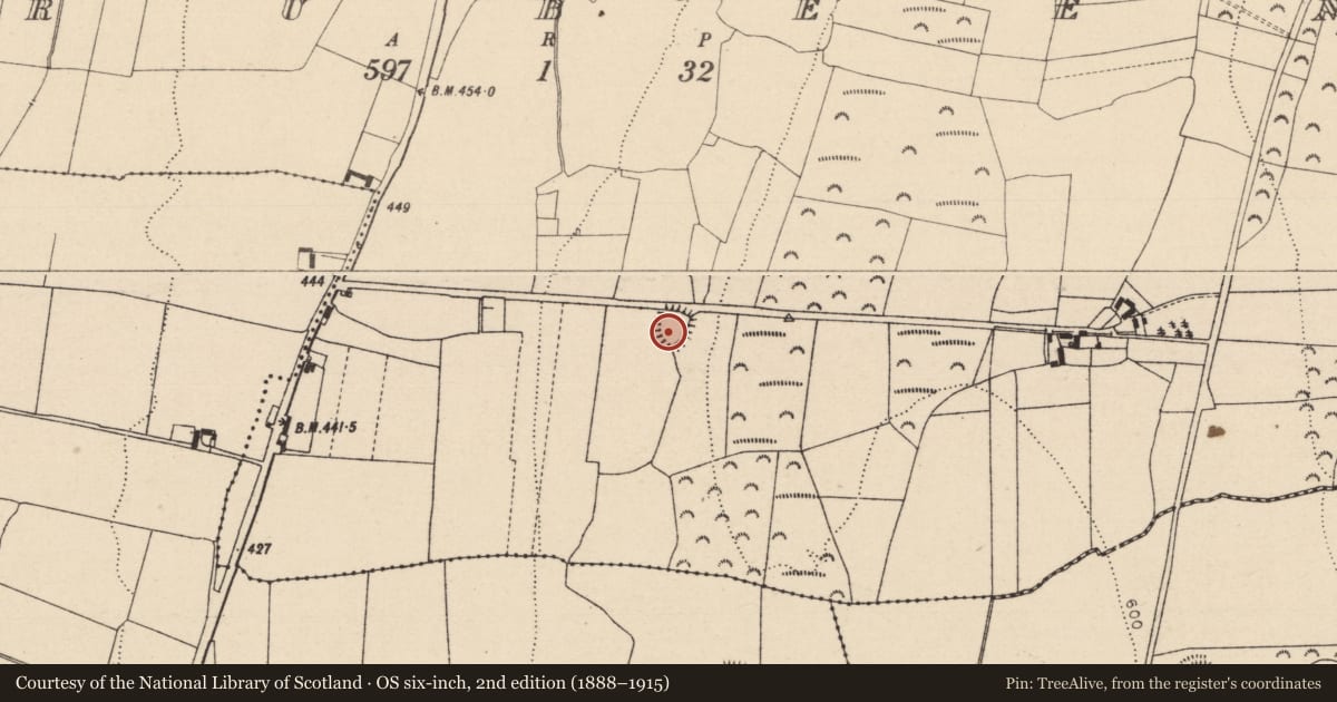 Ordnance Survey six-inch map, 2nd edition (1888–1915) covering the location of Enclosure, Crubeen, County Laois, with a pin at the register's coordinates