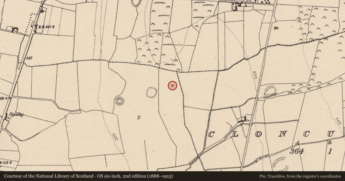 Ordnance Survey six-inch map, 2nd edition (1888–1915) covering the location of Moated site, Ballyroan, Crubeen, County Laois, with a pin at the register's coordinates