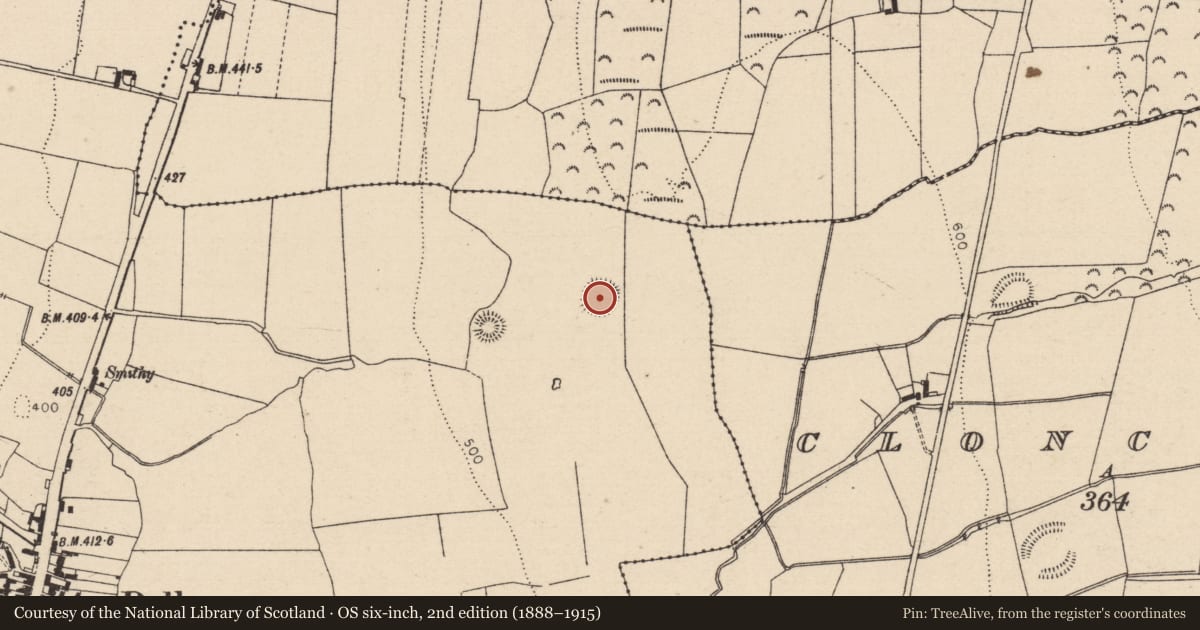 Ordnance Survey six-inch map, 2nd edition (1888–1915) covering the location of Moated site, Ballyroan, Crubeen, County Laois, with a pin at the register's coordinates