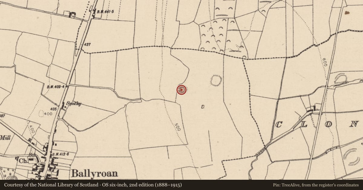 Ordnance Survey six-inch map, 2nd edition (1888–1915) covering the location of Enclosure, Ballyroan, Crubeen, County Laois, with a pin at the register's coordinates