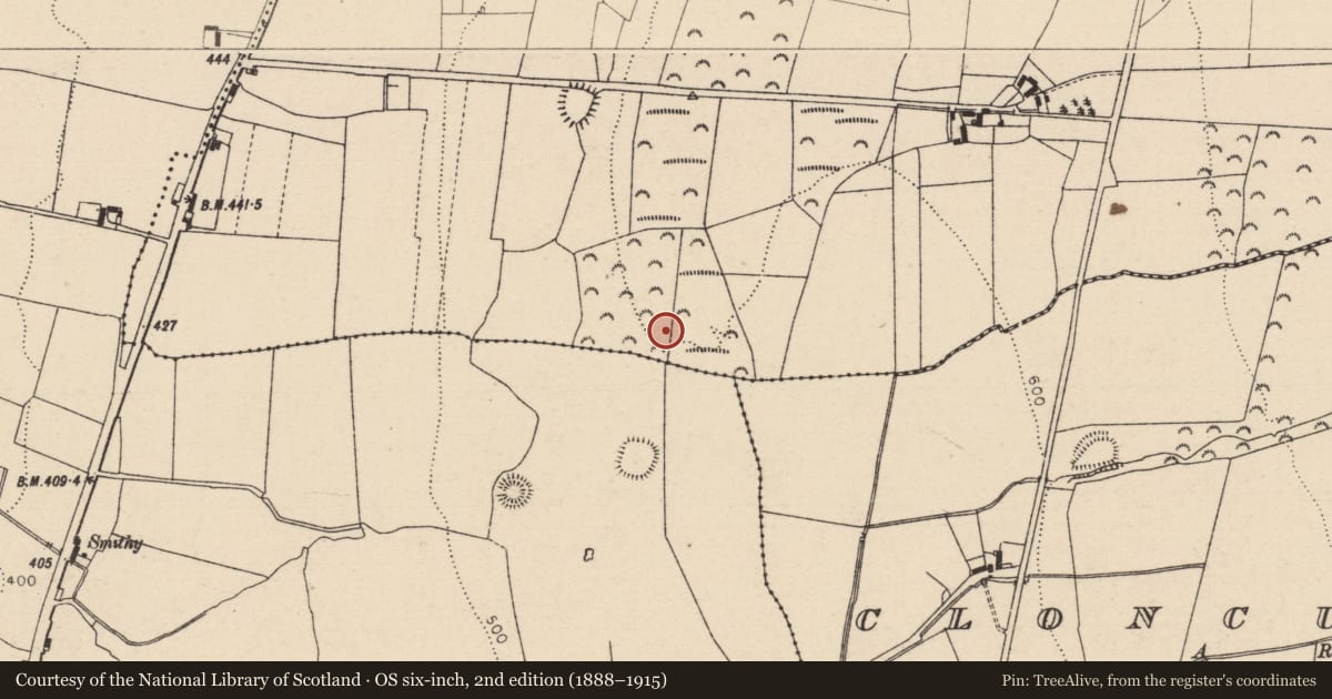 Ordnance Survey six-inch map, 2nd edition (1888–1915) covering the location of Enclosure, Crubeen, County Laois, with a pin at the register's coordinates
