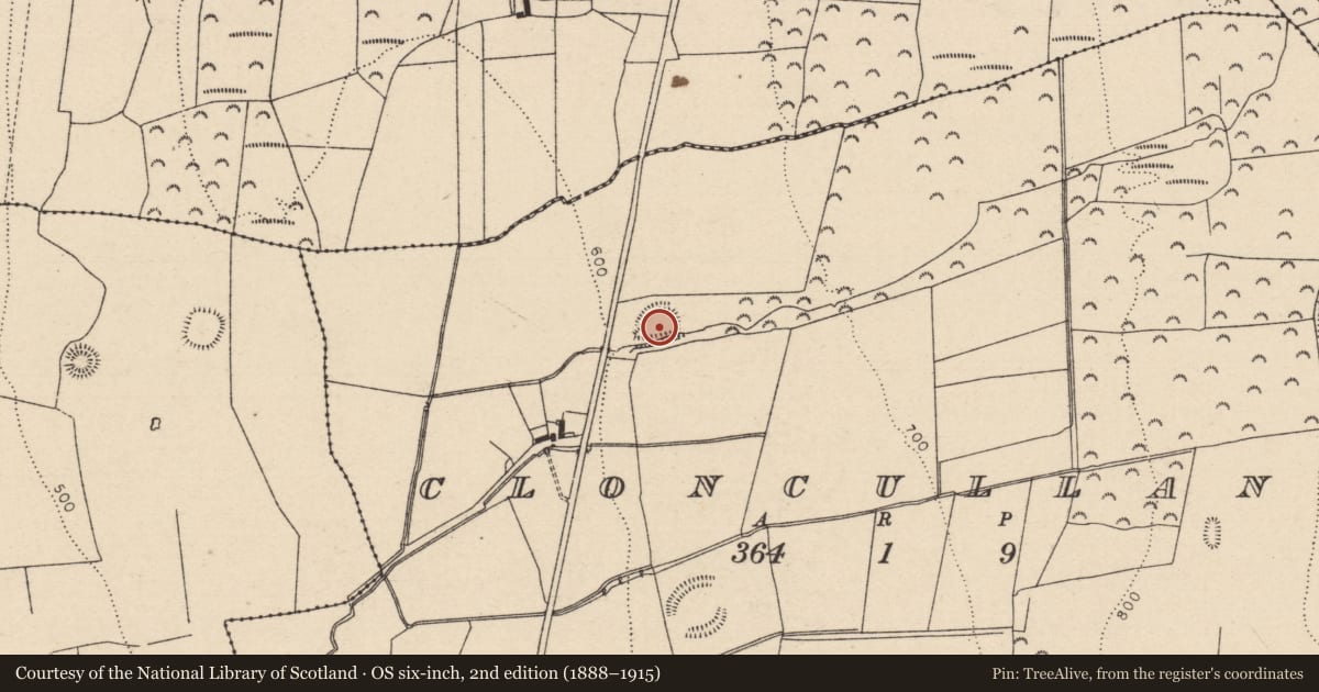 Ordnance Survey six-inch map, 2nd edition (1888–1915) covering the location of Enclosure, Cloncullane, County Laois, with a pin at the register's coordinates