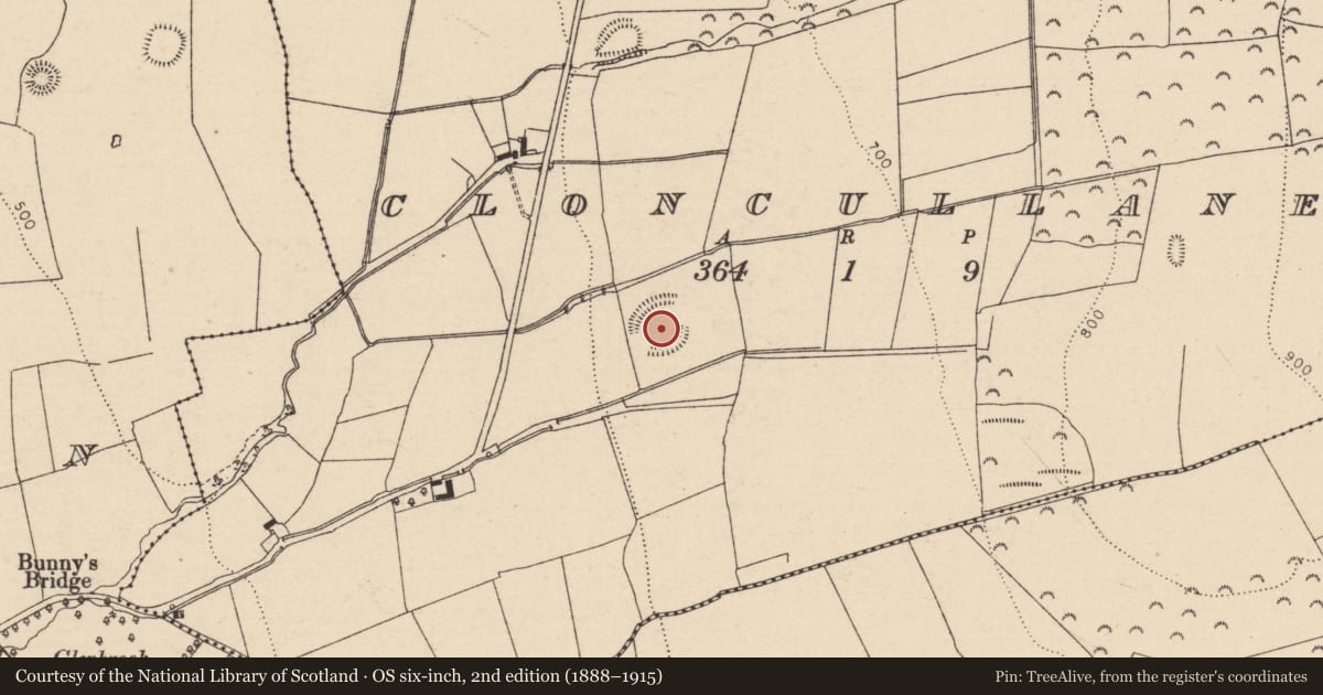 Ordnance Survey six-inch map, 2nd edition (1888–1915) covering the location of Enclosure, Cloncullane, County Laois, with a pin at the register's coordinates