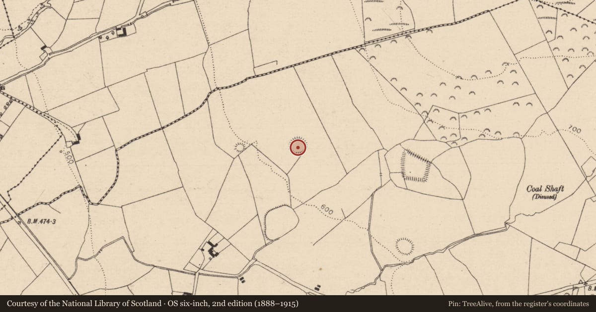 Ordnance Survey six-inch map, 2nd edition (1888–1915) covering the location of Ringfort - rath, Dooary, County Laois, with a pin at the register's coordinates