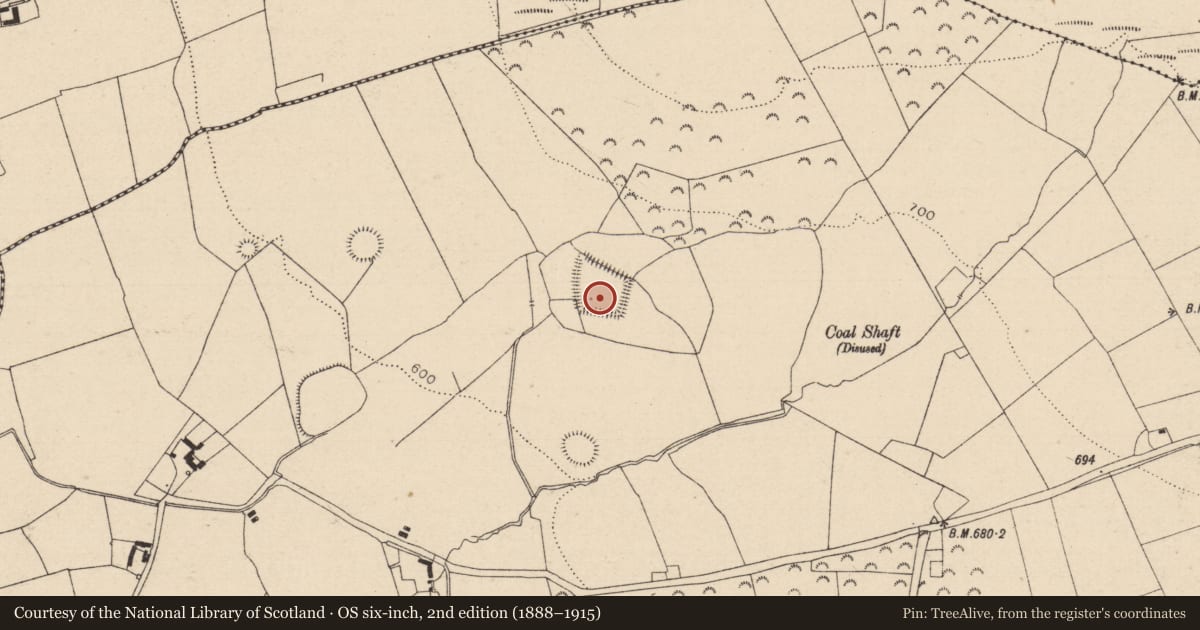 Ordnance Survey six-inch map, 2nd edition (1888–1915) covering the location of Moated site, Dooary, County Laois, with a pin at the register's coordinates