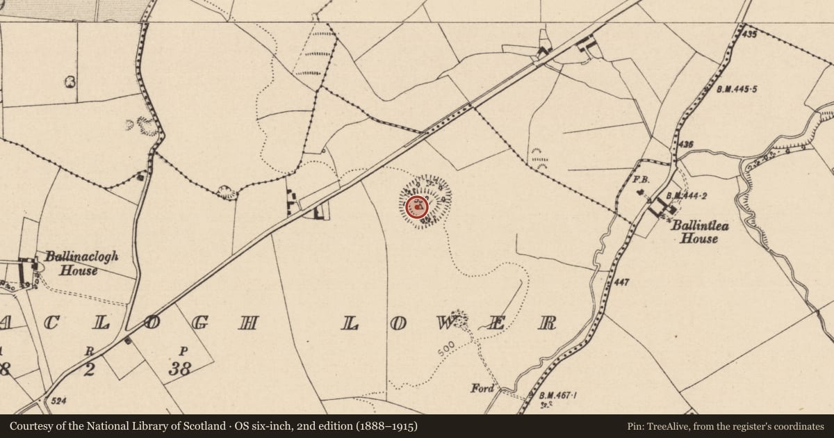 Ordnance Survey six-inch map, 2nd edition (1888–1915) covering the location of Ringfort - rath, Ballinaclogh Lower, County Laois, with a pin at the register's coordinates