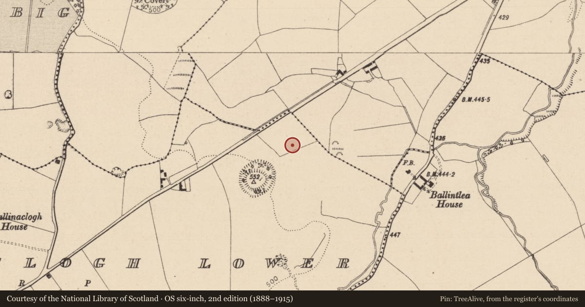 Ordnance Survey six-inch map, 2nd edition (1888–1915) covering the location of Cist, Ballinaclogh Lower, County Laois, with a pin at the register's coordinates