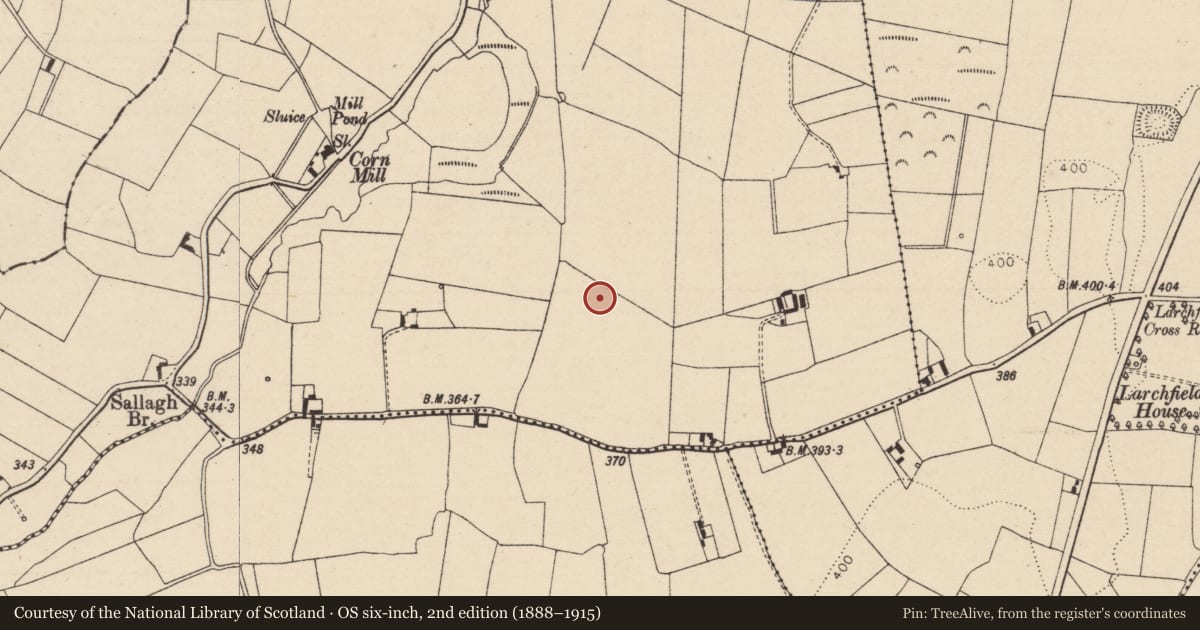 Ordnance Survey six-inch map, 2nd edition (1888–1915) covering the location of Ringfort - rath, Mounteagle, County Laois, with a pin at the register's coordinates