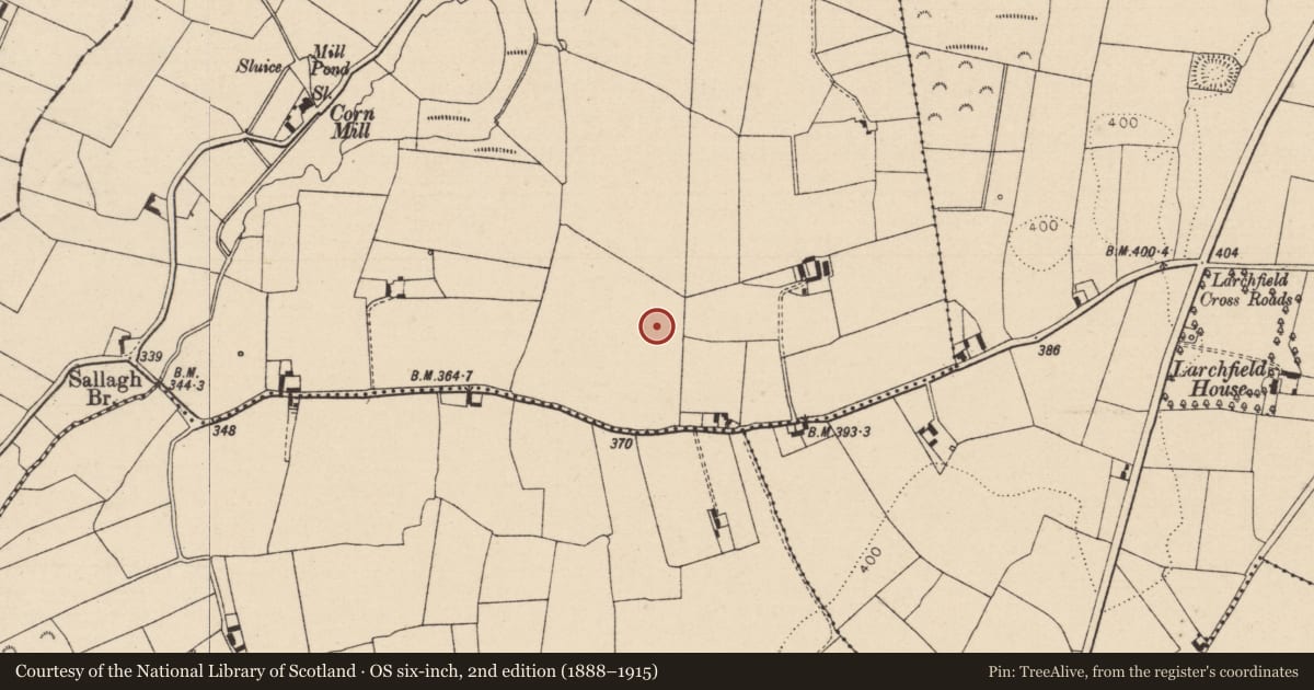 Ordnance Survey six-inch map, 2nd edition (1888–1915) covering the location of Enclosure, Mounteagle, County Laois, with a pin at the register's coordinates