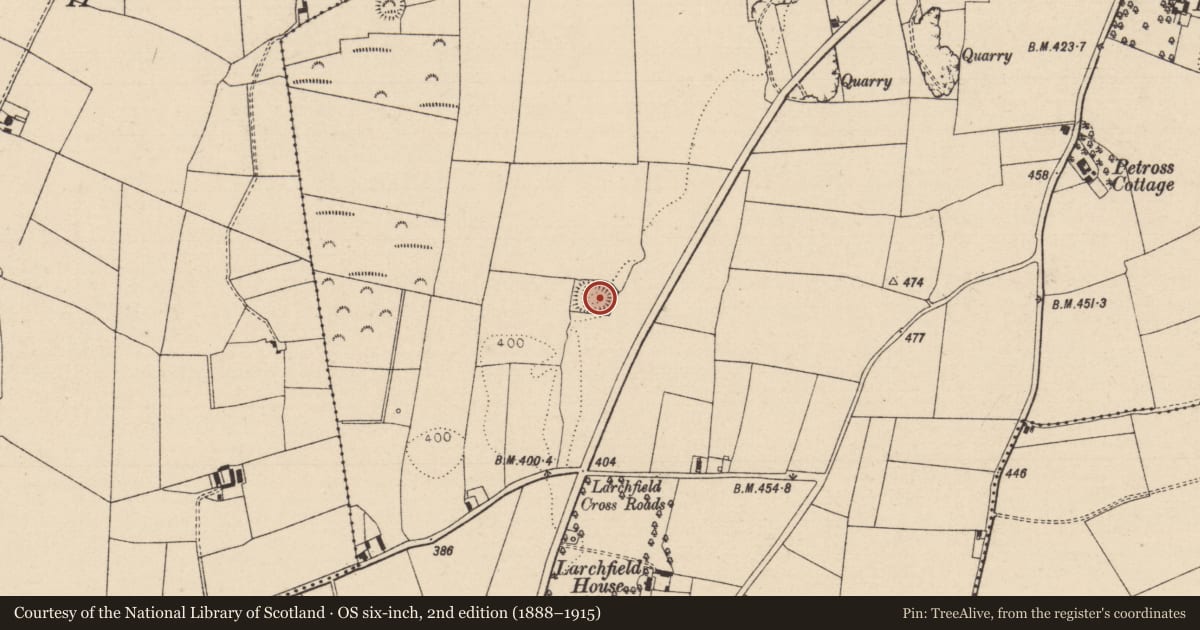 Ordnance Survey six-inch map, 2nd edition (1888–1915) covering the location of Moated site, Ballyroan, County Laois, with a pin at the register's coordinates
