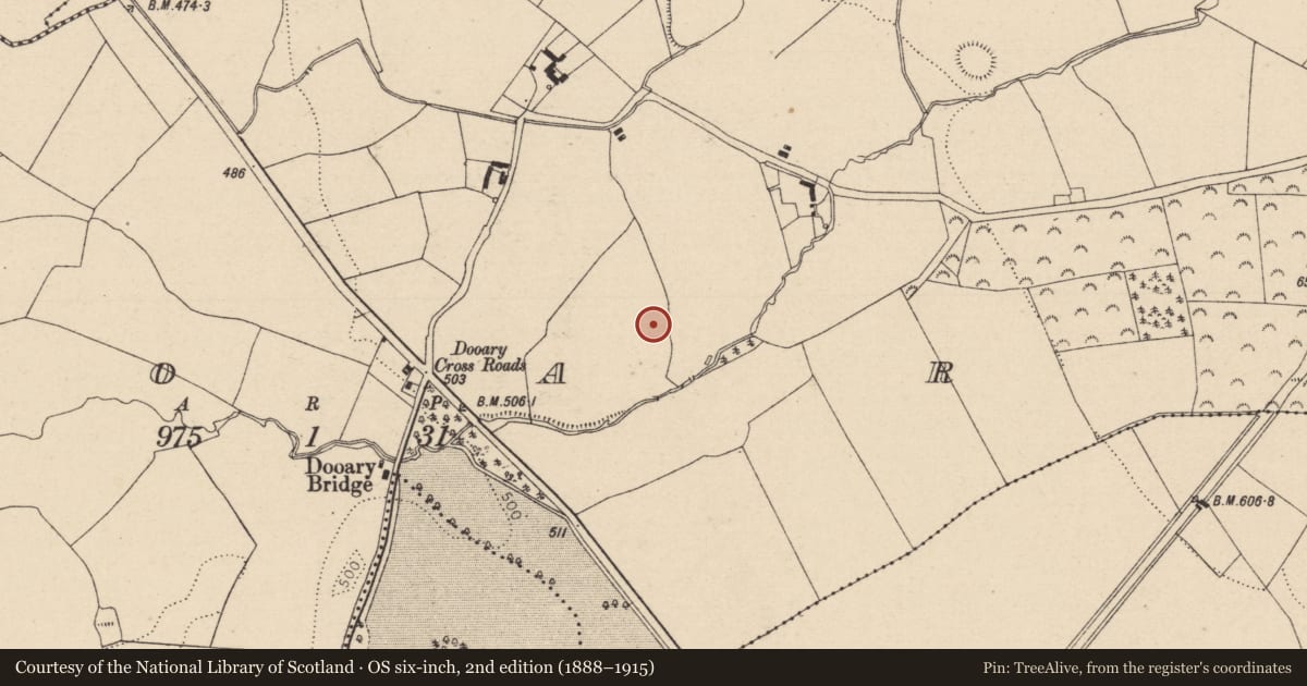 Ordnance Survey six-inch map, 2nd edition (1888–1915) covering the location of Moated site, Dooary, County Laois, with a pin at the register's coordinates