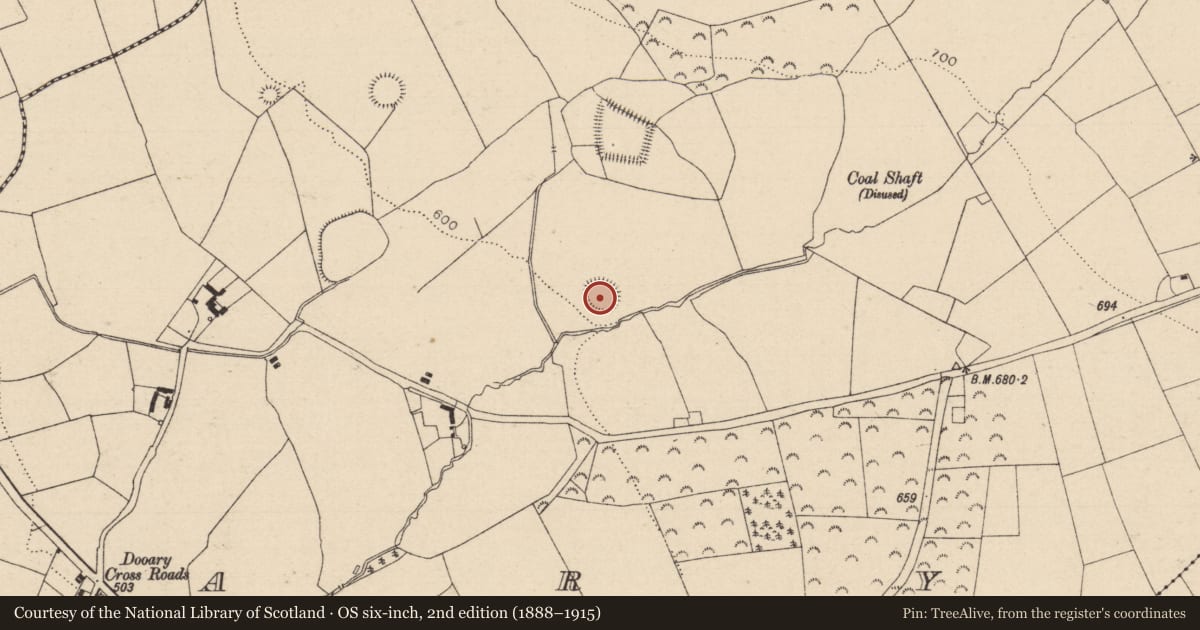 Ordnance Survey six-inch map, 2nd edition (1888–1915) covering the location of Ringfort - rath, Dooary, County Laois, with a pin at the register's coordinates