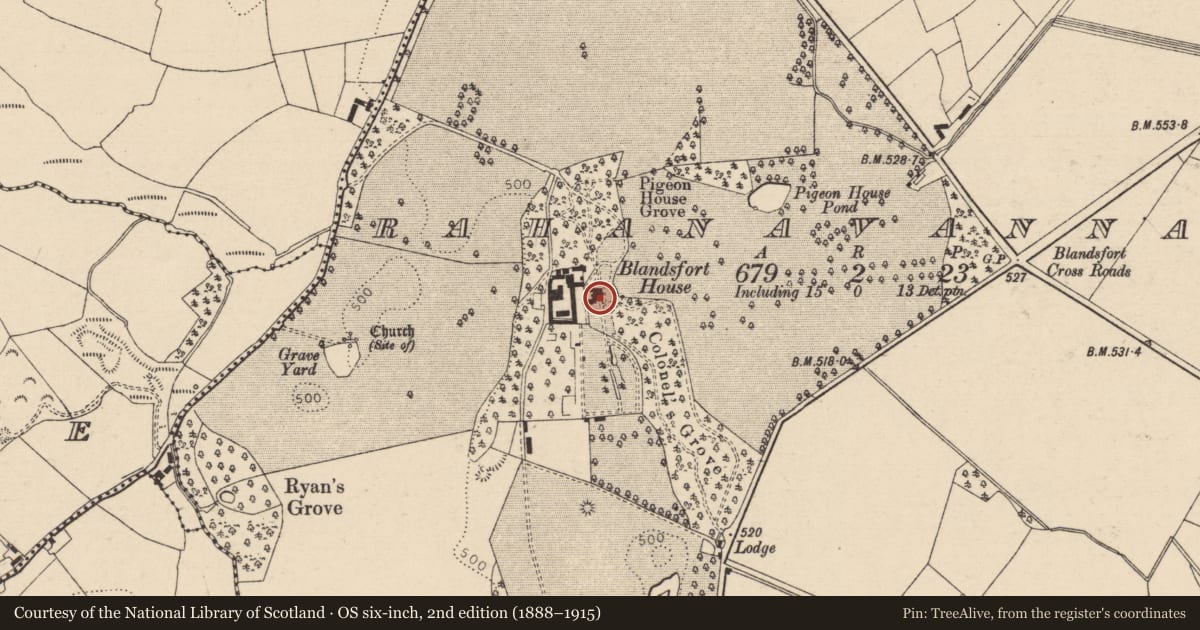 Ordnance Survey six-inch map, 2nd edition (1888–1915) covering the location of Castle - unclassified, Rahanavannagh, County Laois, with a pin at the register's coordinates