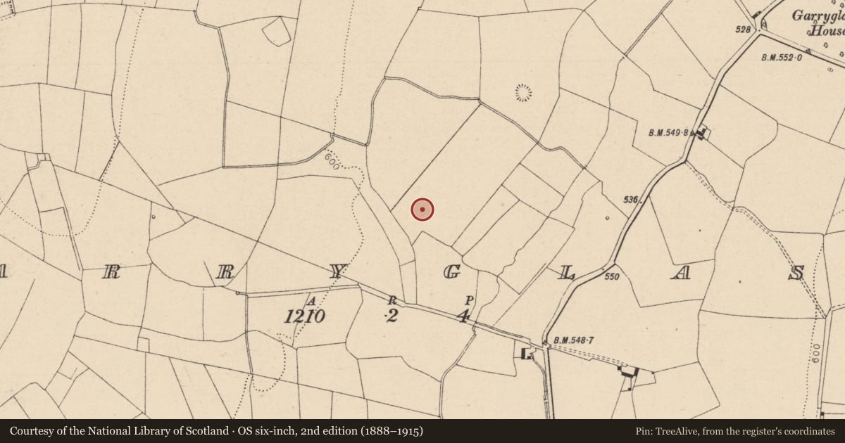 Ordnance Survey six-inch map, 2nd edition (1888–1915) covering the location of Enclosure, Garryglass, County Laois, with a pin at the register's coordinates