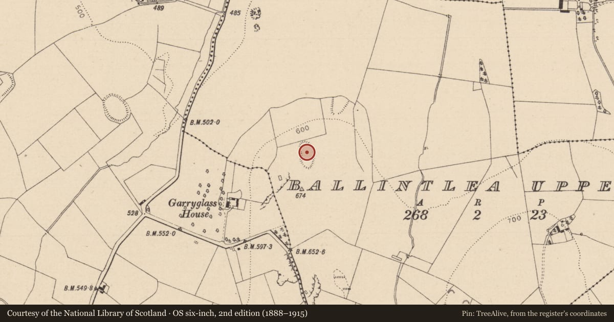 Ordnance Survey six-inch map, 2nd edition (1888–1915) covering the location of Enclosure, Ballintlea Upper, County Laois, with a pin at the register's coordinates