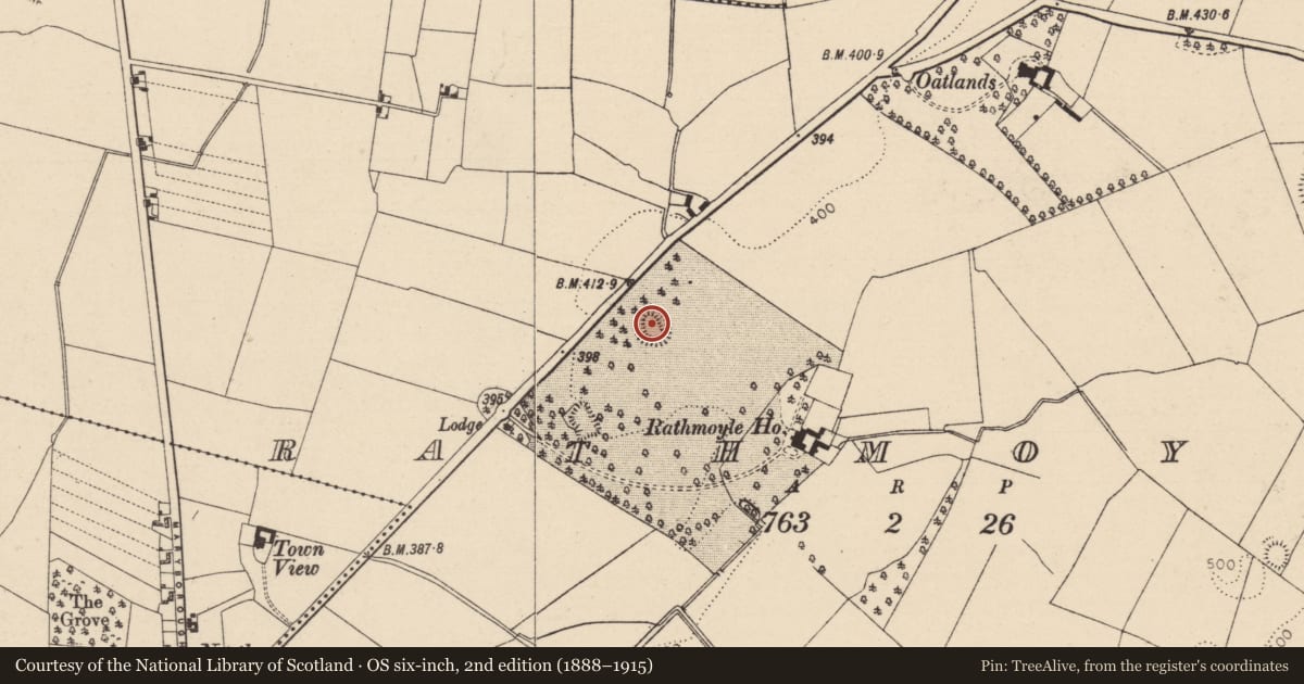 Ordnance Survey six-inch map, 2nd edition (1888–1915) covering the location of Ringfort - rath, Rathmoyle, County Laois, with a pin at the register's coordinates