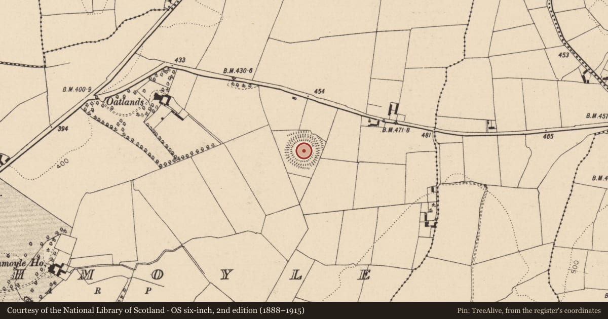 Ordnance Survey six-inch map, 2nd edition (1888–1915) covering the location of Burial, Rathmoyle, County Laois, with a pin at the register's coordinates
