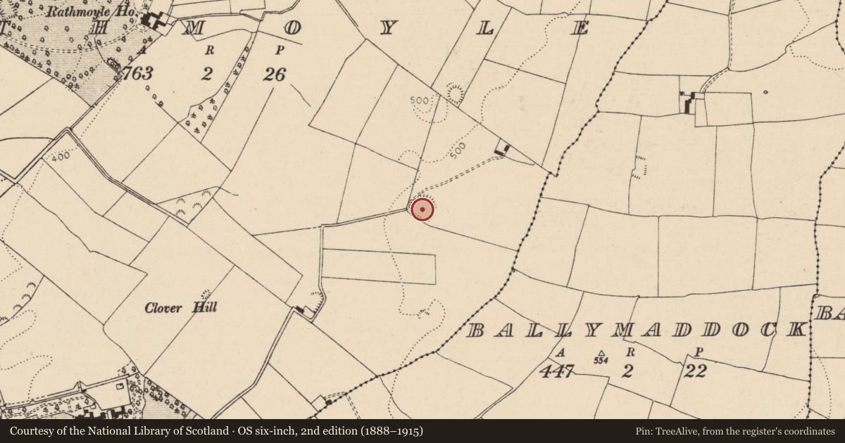 Ordnance Survey six-inch map, 2nd edition (1888–1915) covering the location of Ringfort - rath, Rathmoyle, County Laois, with a pin at the register's coordinates