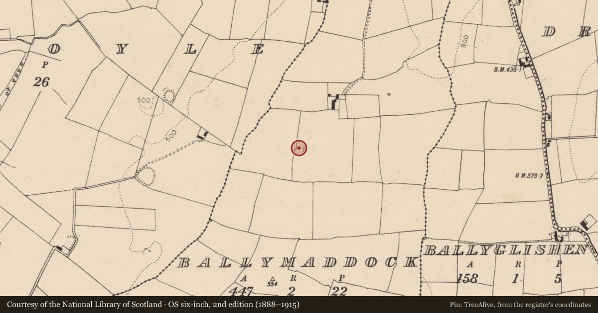 Ordnance Survey six-inch map, 2nd edition (1888–1915) covering the location of Moated site, Ballymaddock, County Laois, with a pin at the register's coordinates
