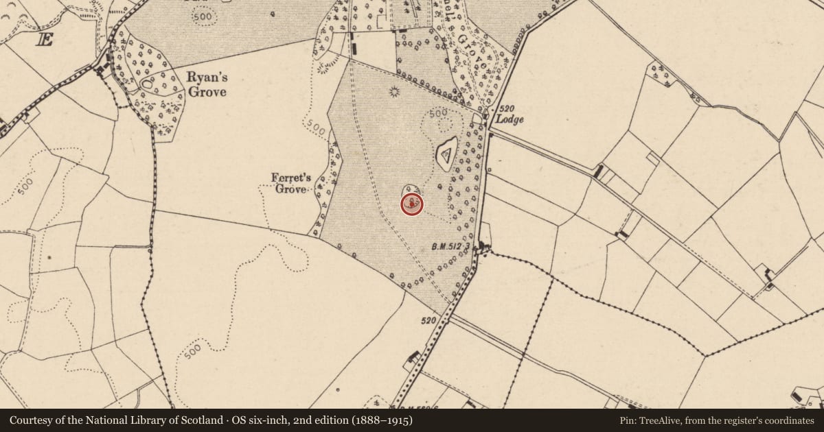 Ordnance Survey six-inch map, 2nd edition (1888–1915) covering the location of Designed landscape feature, Rahanavannagh, County Laois, with a pin at the register's coordinates