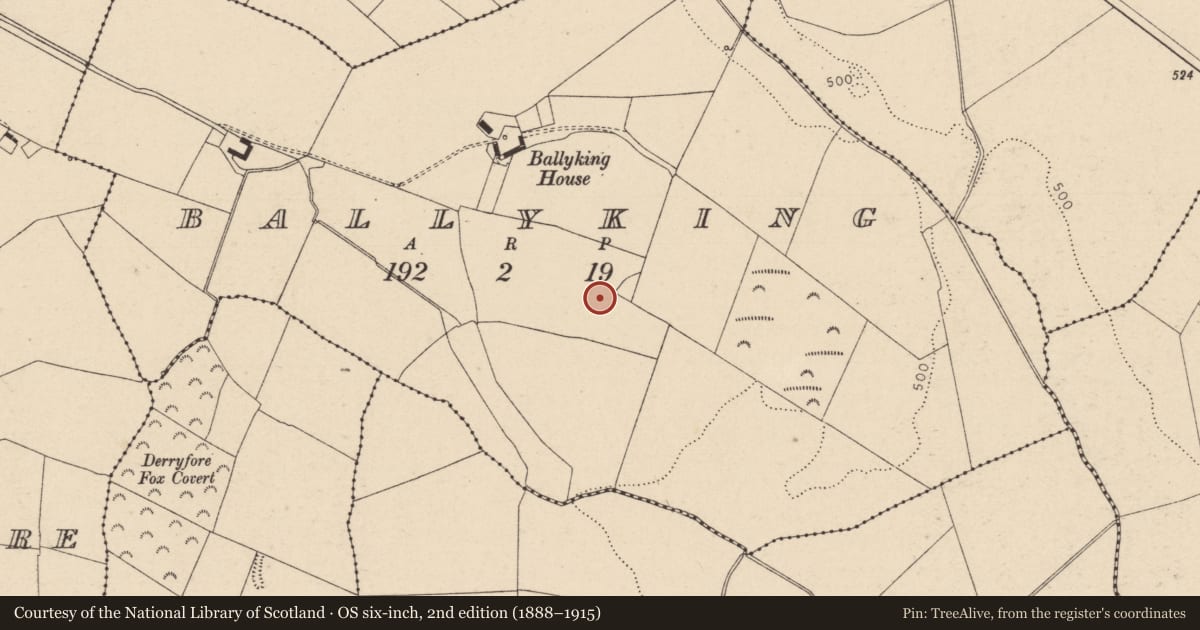 Ordnance Survey six-inch map, 2nd edition (1888–1915) covering the location of Enclosure, Ballyking, County Laois, with a pin at the register's coordinates