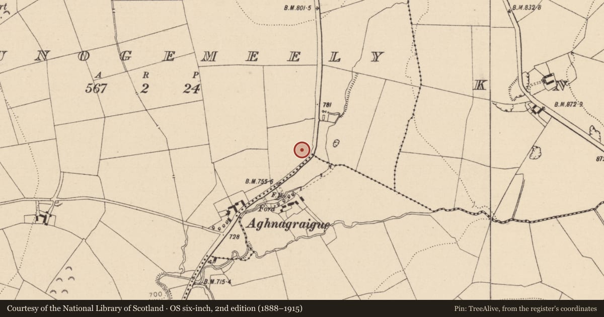 Ordnance Survey six-inch map, 2nd edition (1888–1915) covering the location of Enclosure, Baunogemeely, County Laois, with a pin at the register's coordinates