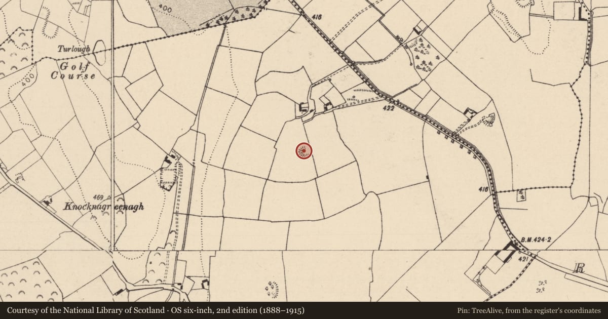 Ordnance Survey six-inch map, 2nd edition (1888–1915) covering the location of Enclosure, Ballymullen, County Laois, with a pin at the register's coordinates