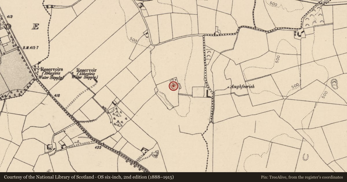 Ordnance Survey six-inch map, 2nd edition (1888–1915) covering the location of Mound, Ballymaddock, County Laois, with a pin at the register's coordinates