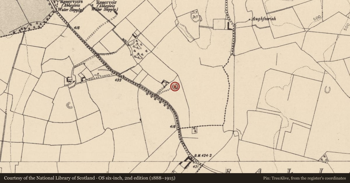 Ordnance Survey six-inch map, 2nd edition (1888–1915) covering the location of Enclosure, Ballymaddock, County Laois, with a pin at the register's coordinates
