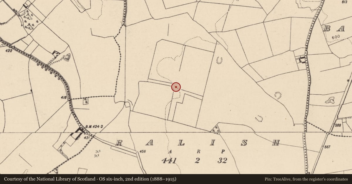 Ordnance Survey six-inch map, 2nd edition (1888–1915) covering the location of Ringfort - rath, Ralish, County Laois, with a pin at the register's coordinates