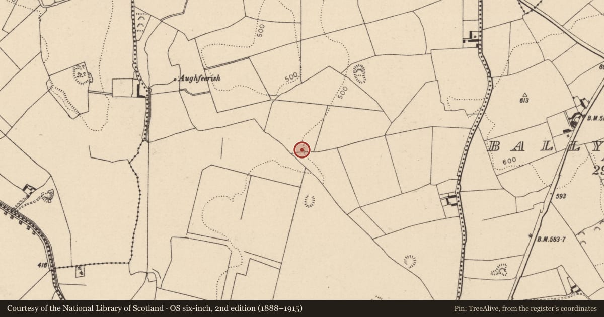 Ordnance Survey six-inch map, 2nd edition (1888–1915) covering the location of Enclosure, Ralish, County Laois, with a pin at the register's coordinates