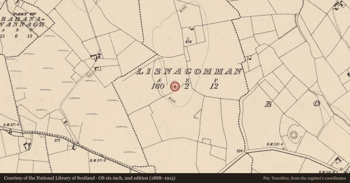 Ordnance Survey six-inch map, 2nd edition (1888–1915) covering the location of Ringfort - rath, Lisnagommon, County Laois, with a pin at the register's coordinates
