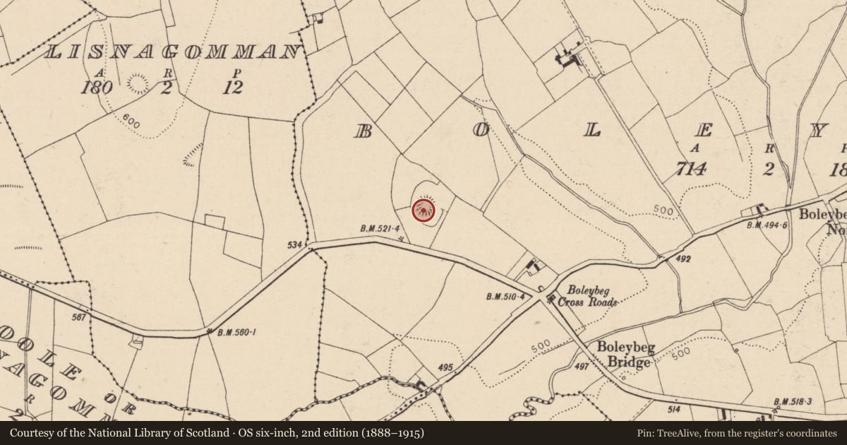 Ordnance Survey six-inch map, 2nd edition (1888–1915) covering the location of Ringfort - rath, Boleybeg, County Laois, with a pin at the register's coordinates